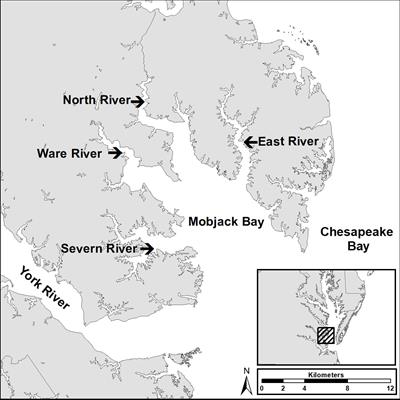 Demographic response of osprey within the lower Chesapeake Bay to fluctuations in menhaden stock